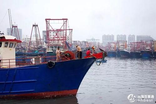 爆料渔船视频播放大全下载,渔船视频播放大全下载精选集锦